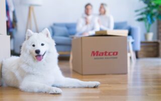 Tips for a Stress-Free Move with Pets From Matco’s Home Movers