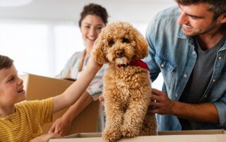 Ultimate Guide to Moving Internationally With Pets
